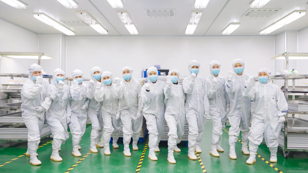 红桃影视免费观看所属纬达光电成功调入新三板创新层