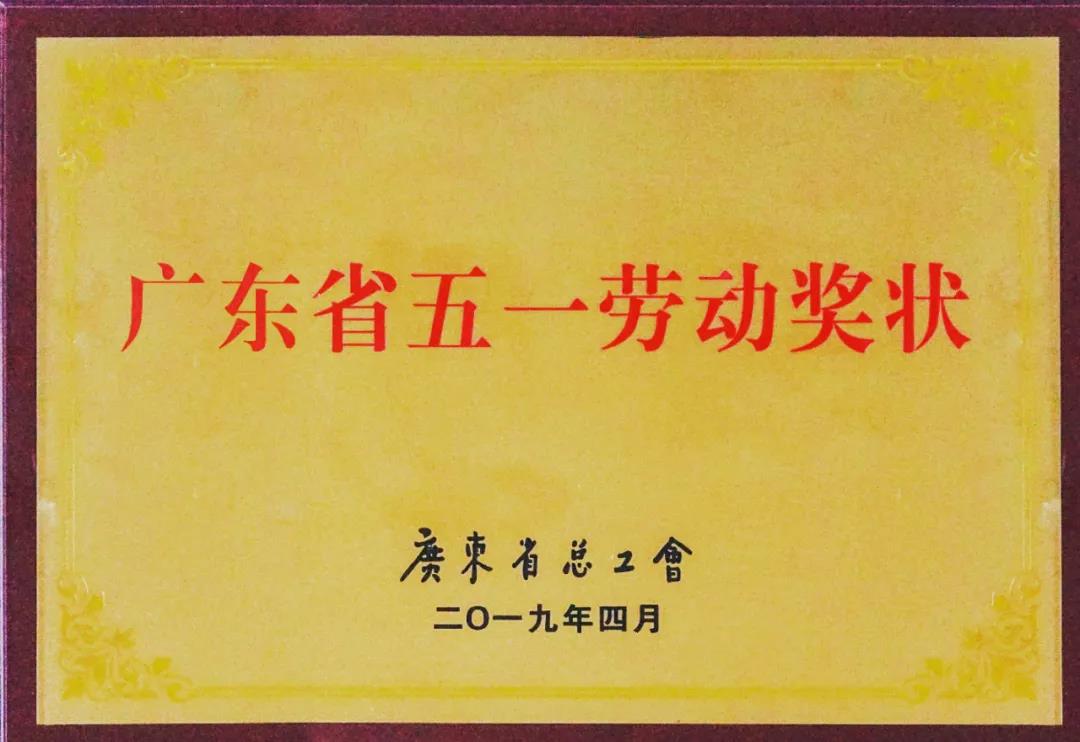 【“新广新 新风采”专题报道之四】 国义招标:创新驱动,焕发国企新活力 【“新广新 新风采”专题报道之四】 国义招标:创新驱动,焕发国企新活力