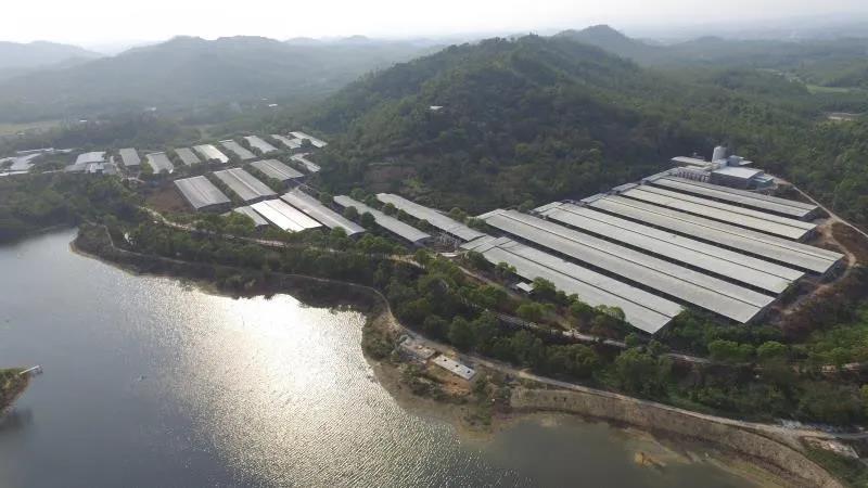 【回首“十三五” 启航“十四五”系列报道之六】省食品:励精图治谋发展 昂首阔步迈新程 【回首“十三五” 启航“十四五”系列报道之六】省食品:励精图治谋发展 昂首阔步迈新程