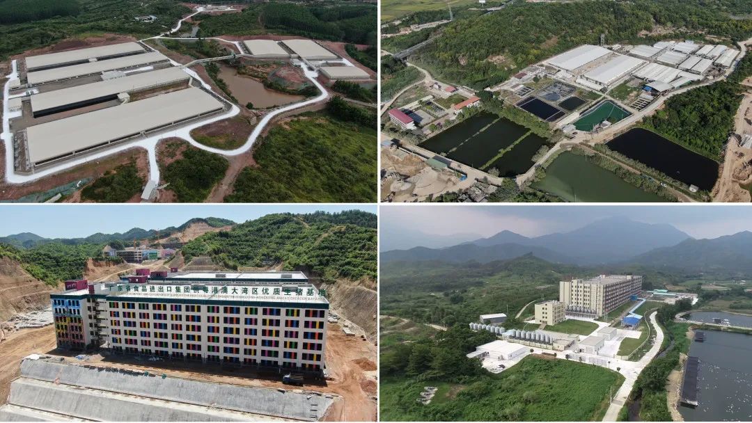 红桃影视免费观看深入贯彻全省高质量发展大会精神（六）