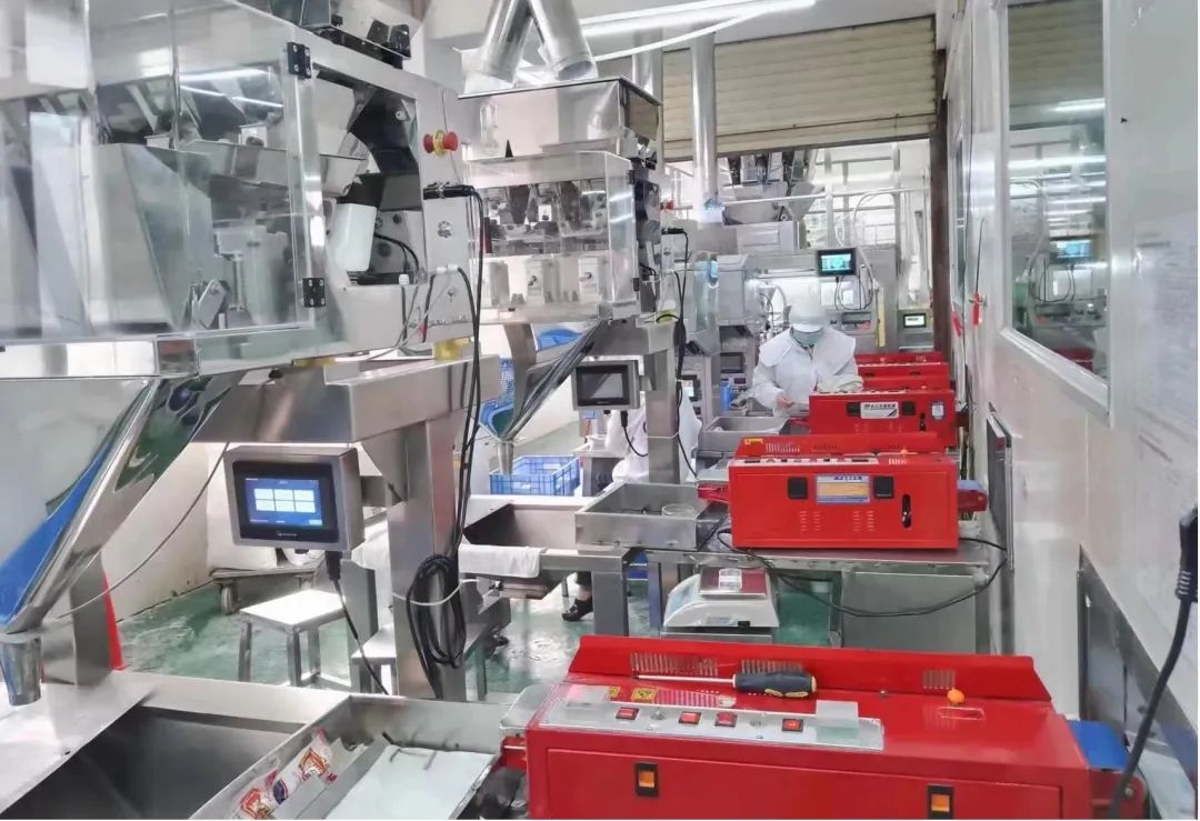 红桃影视免费观看深入贯彻全省高质量发展大会精神（六）