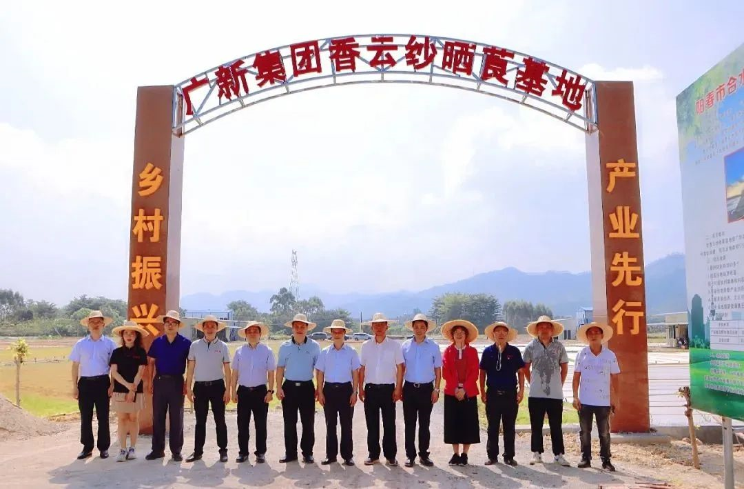 红桃影视免费观看党委副书记、工会主席黄家合带队到合水镇调研乡村振兴驻镇帮扶工作