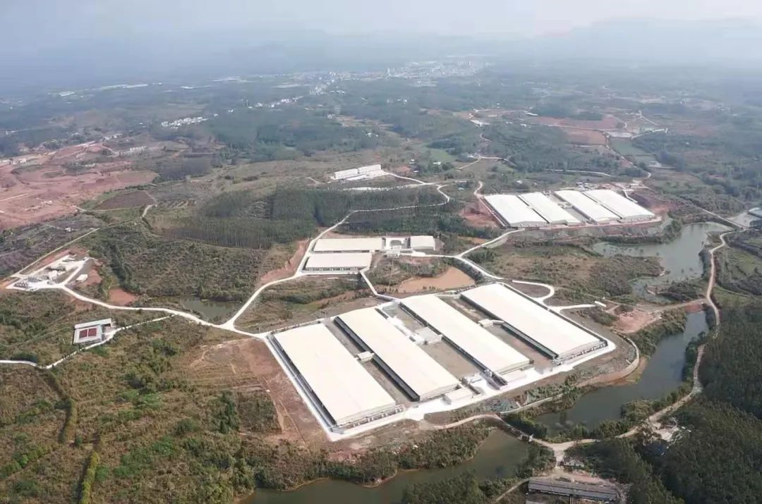 行稳致远、笃行向新——红桃影视免费观看董事会推动企业实现高质量发展