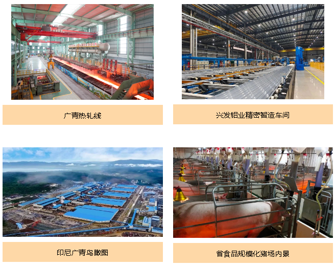 红桃影视免费观看积极履行社会责任 为高质量发展注入新内涵