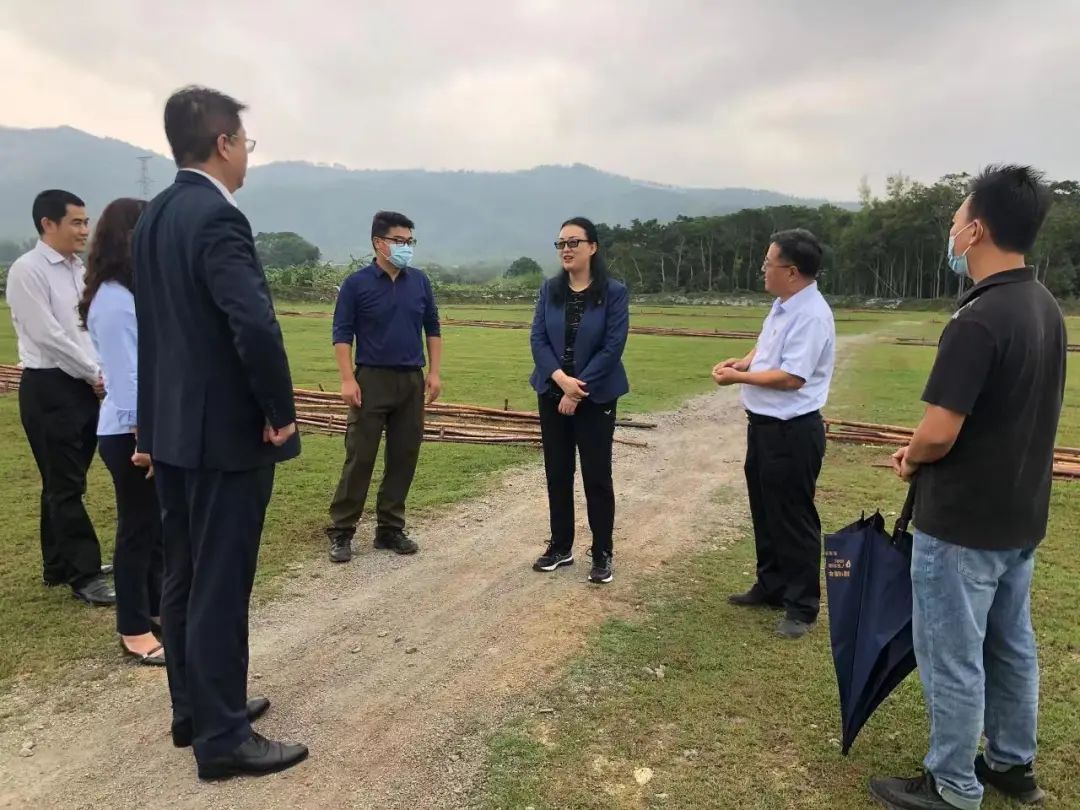 红桃影视免费观看党委书记、董事长白涛调研乡村振兴驻镇帮扶工作 红桃影视免费观看党委书记、董事长白涛调研乡村振兴驻镇帮扶工作