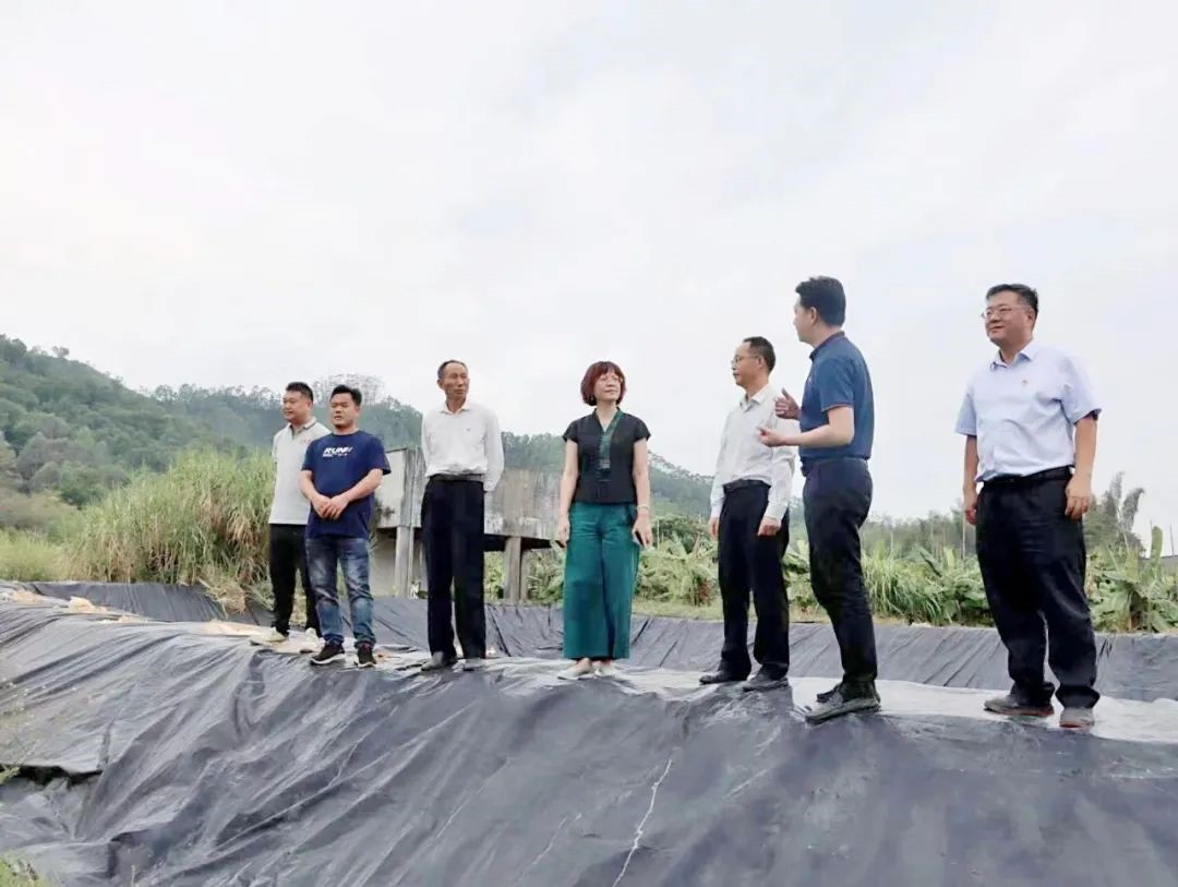 红桃影视免费观看党委副书记、工会主席黄家合带队调研乡村振兴驻镇帮扶工作 红桃影视免费观看党委副书记、工会主席黄家合带队调研乡村振兴驻镇帮扶工作