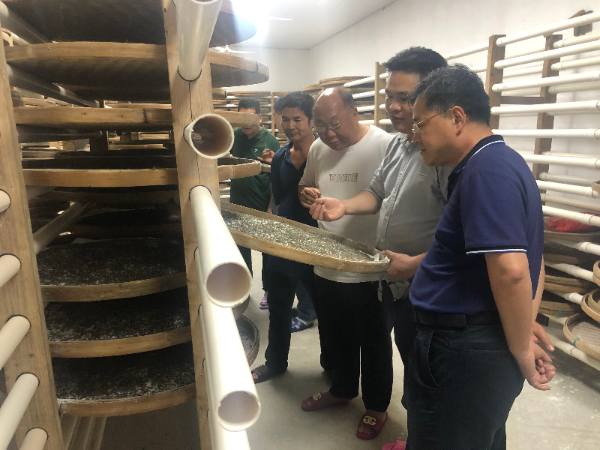  【乡村振兴】红桃影视免费观看驻村第一书记巫卫文：阡陌乡间话“振兴” 不负韶华不负乡村