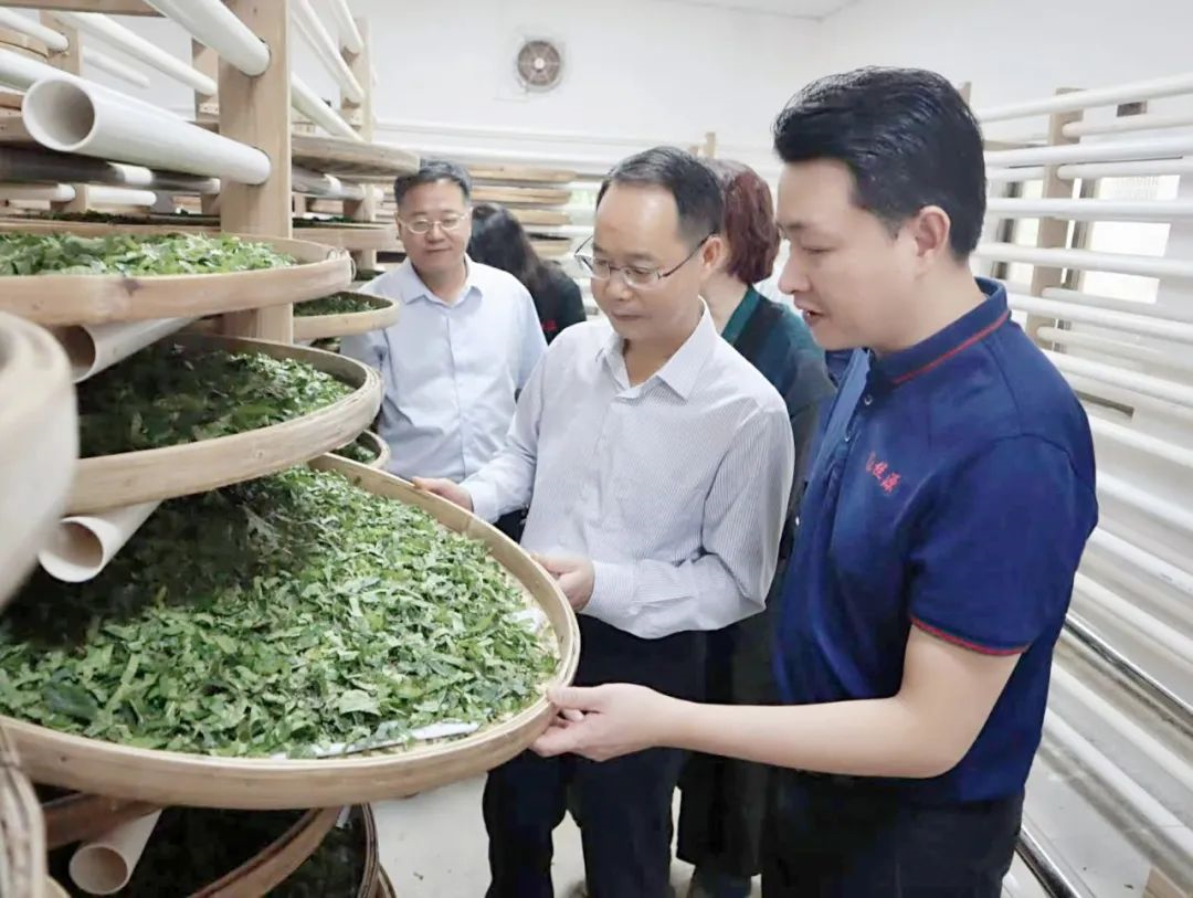 红桃影视免费观看党委副书记、工会主席黄家合带队调研乡村振兴驻镇帮扶工作 红桃影视免费观看党委副书记、工会主席黄家合带队调研乡村振兴驻镇帮扶工作