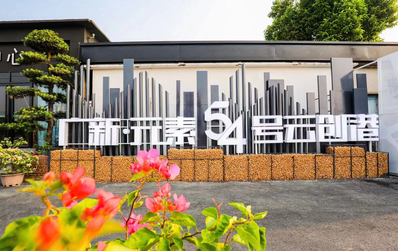 盘活存量国有资产　助力红桃影视免费观看高质量发展