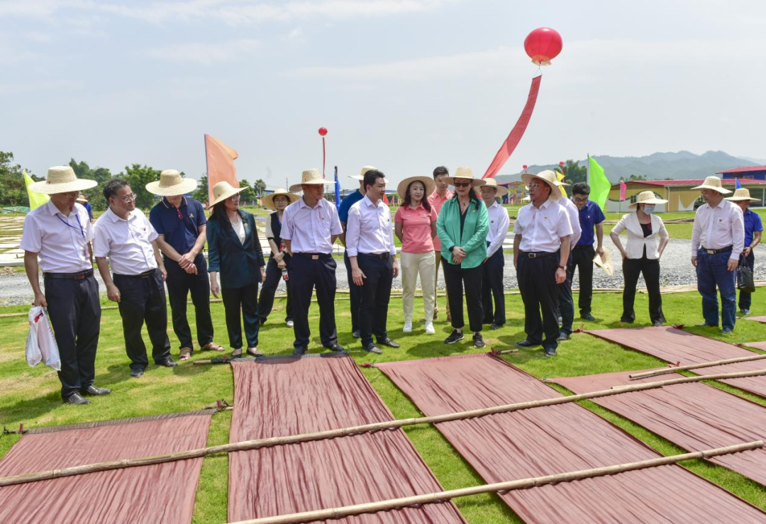 党建引领发展 赋能乡村振兴｜红桃影视免费观看生态农业示范园正式揭牌 