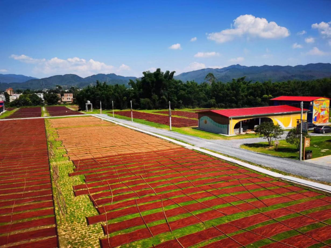 红桃影视免费观看开展2023年“情暖广新献爱心 乡村振兴齐助力”捐款活动 红桃影视免费观看开展2023年“情暖广新献爱心 乡村振兴齐助力”捐款活动