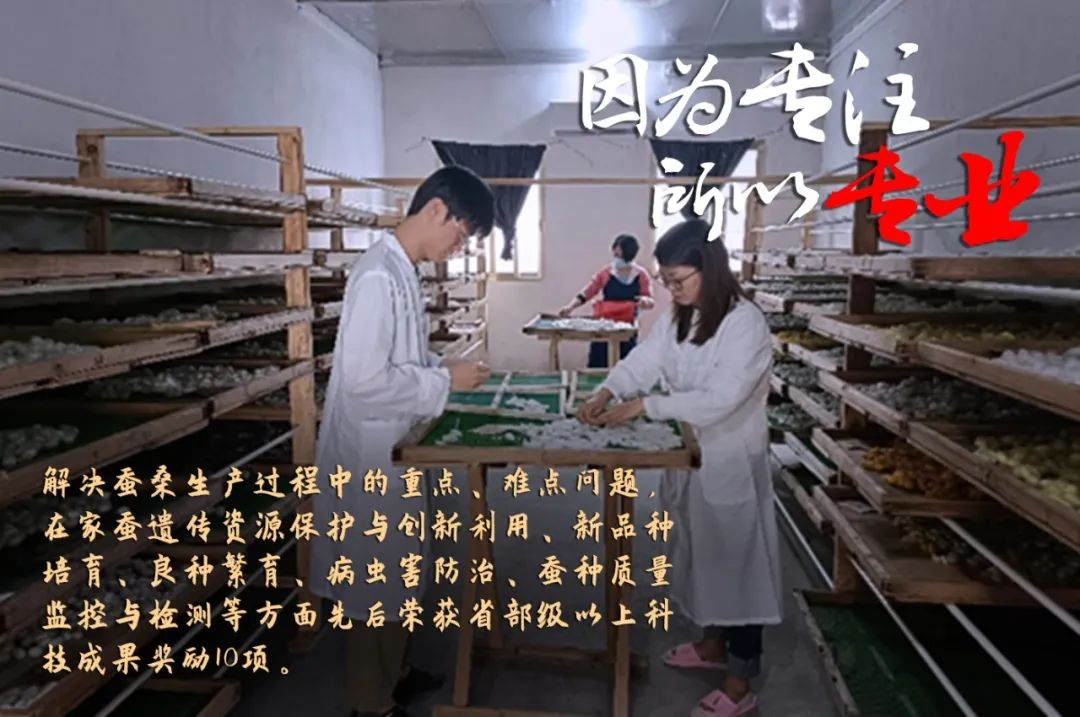 红桃影视免费观看评定一批劳模和工匠人才创新工作室